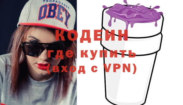 МДПВ Вяземский