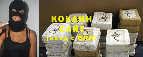 МДПВ Вяземский