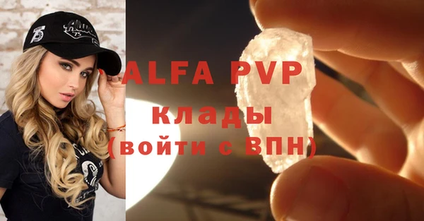 молекула духа Вязьма