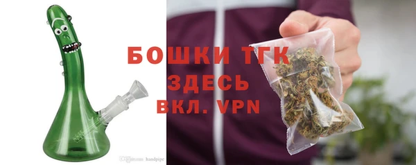 молекула духа Вязьма
