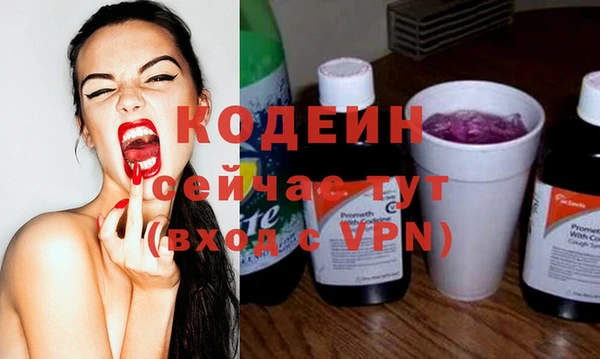 молекула духа Вязьма