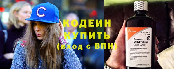 МДПВ Вяземский
